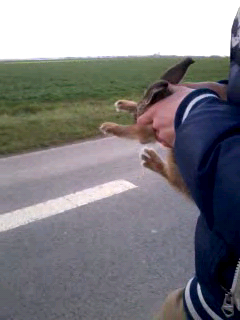 SC20130420-175113.png