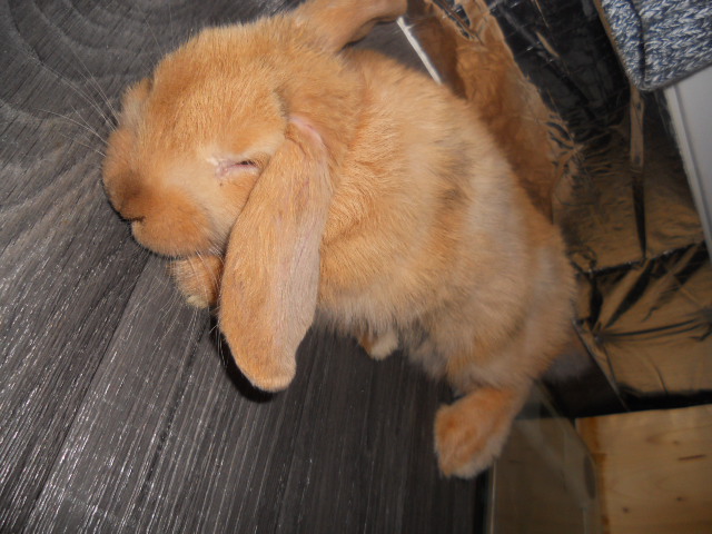 DSCN2621.JPG