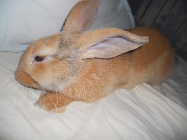 DSCN2551.JPG