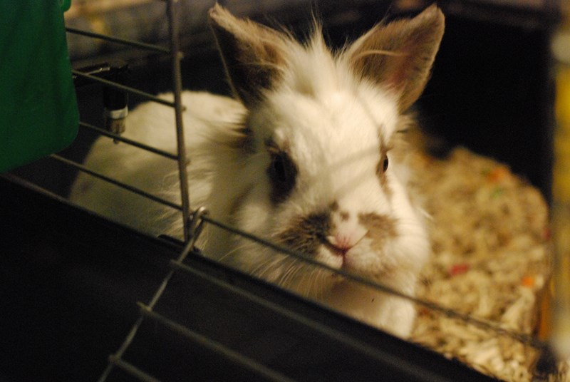DSC_0033 (Copier).JPG