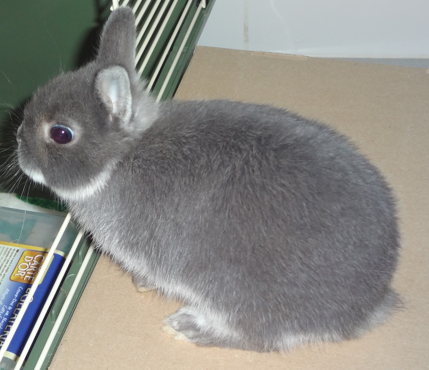 DSC00464.jpg