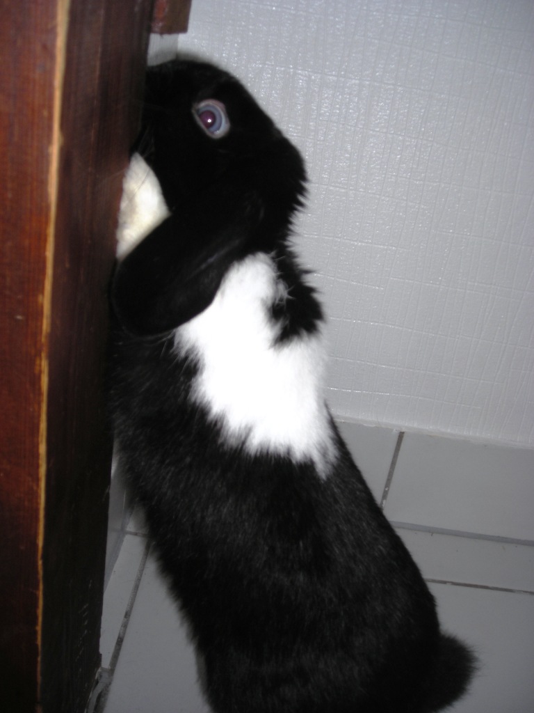 DSCN3884.JPG