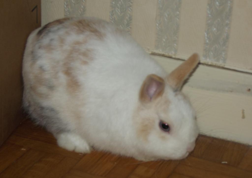 DSCF2446.JPG