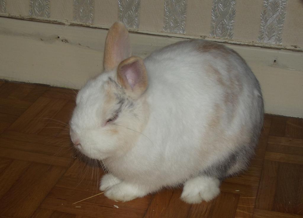 DSCF2454.JPG