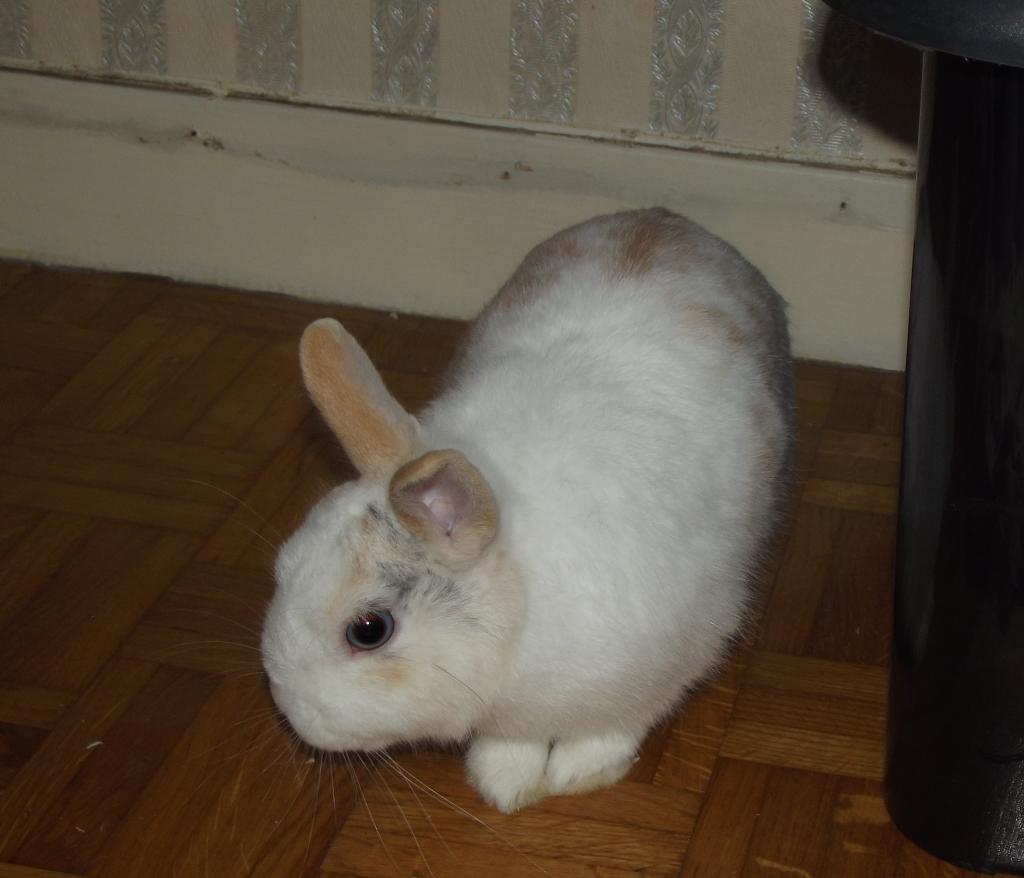 DSCF2458.JPG