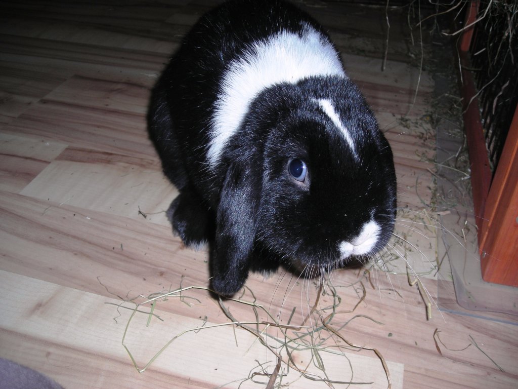 DSCN3585.JPG