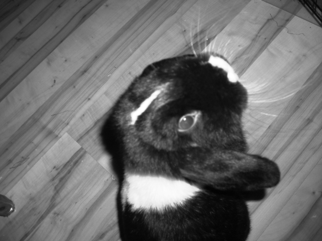 DSCN3868.JPG