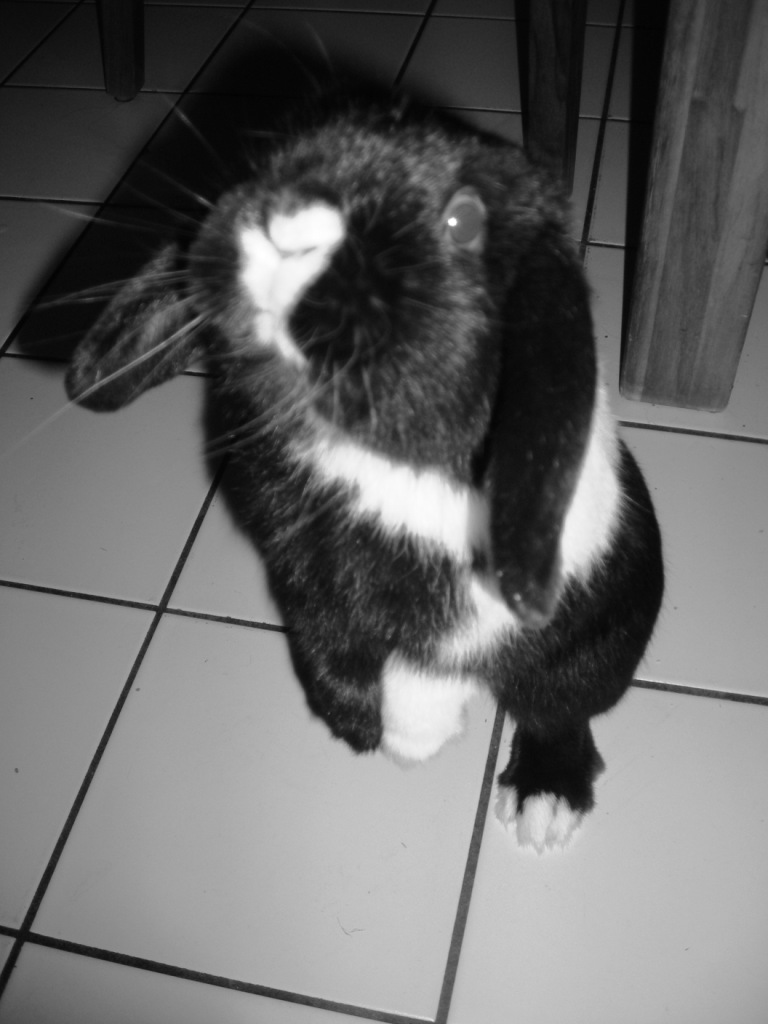 DSCN3816.JPG