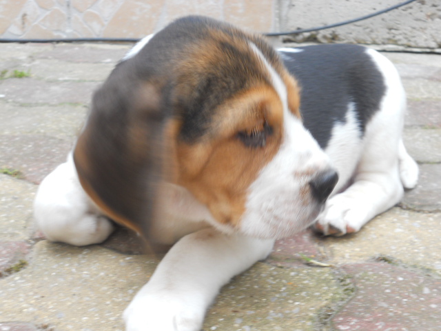 DSCN2692.JPG