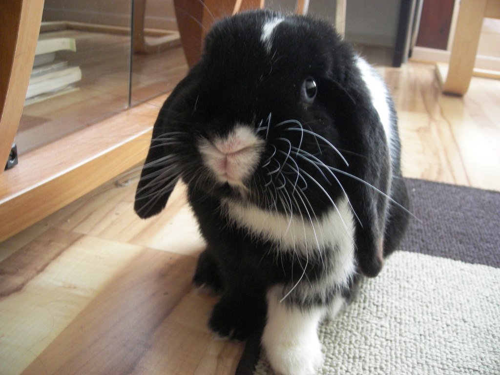 DSCN4016.JPG