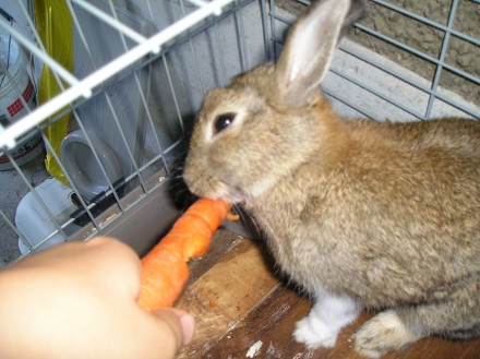 Namour !! 004 (440x329).jpg