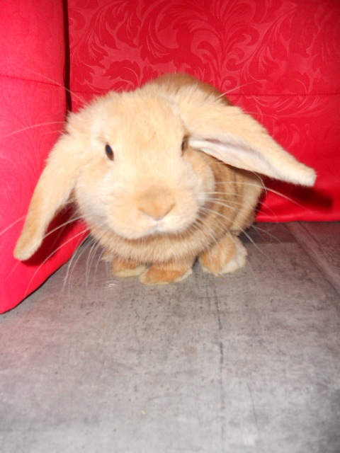 DSCN2753.JPG