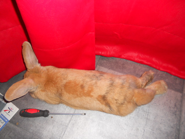 DSCN2755.JPG