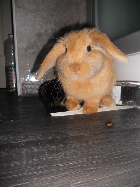 DSCN2670.JPG