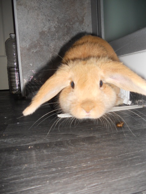 DSCN2669.JPG