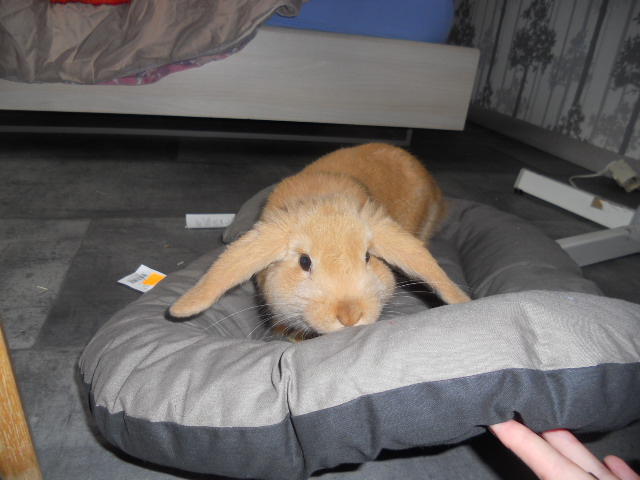 DSCN2660.JPG