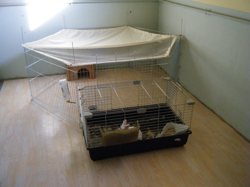 DSCF1406 (Copier).JPG