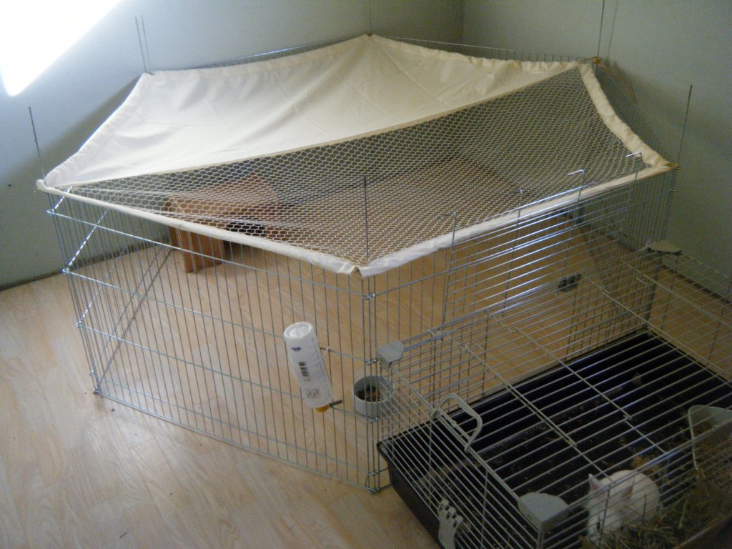 DSCF1407 (Copier).JPG