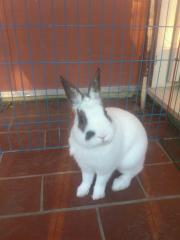 mms_img1105516148.jpg