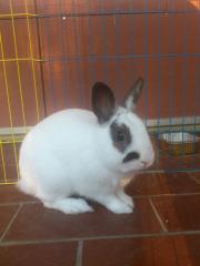 mms_img-1503510471.jpg