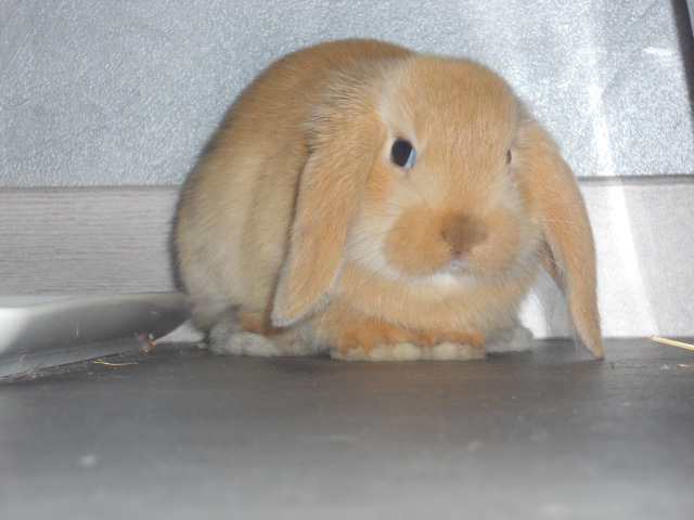 DSCN2200.JPG
