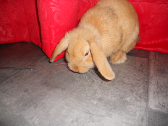DSCN2754.JPG
