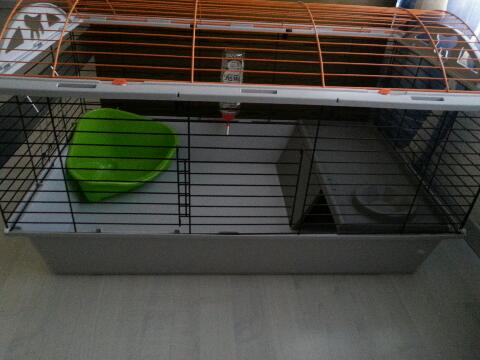 rps20130626_210710.jpg