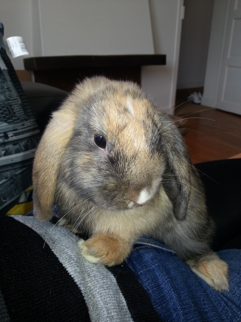 20130624.jpg