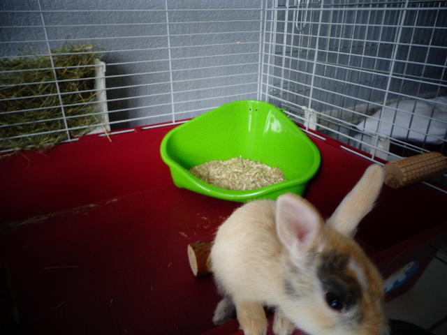DSC00937.JPG