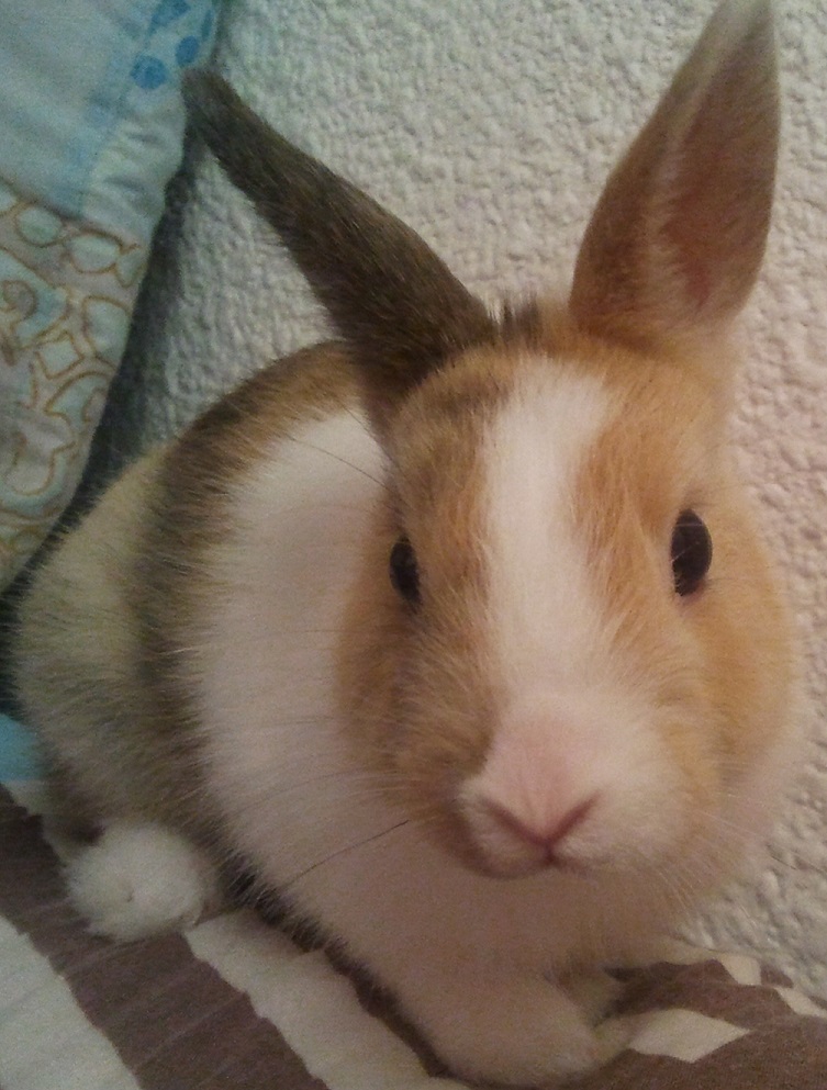 2013-07-04 21.08.27.jpg