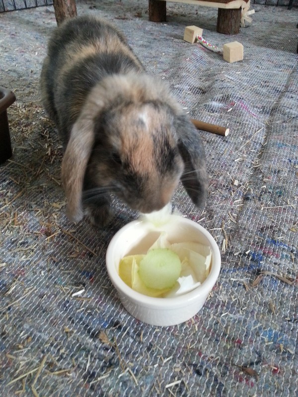 20130715_201455.jpg