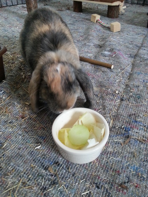 20130715_201452.jpg