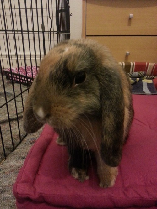 20130724_000022.jpg