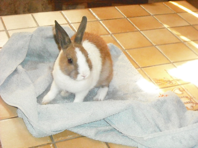 DSCF6941.JPG