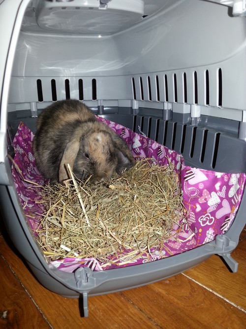 20130725_182938.jpg
