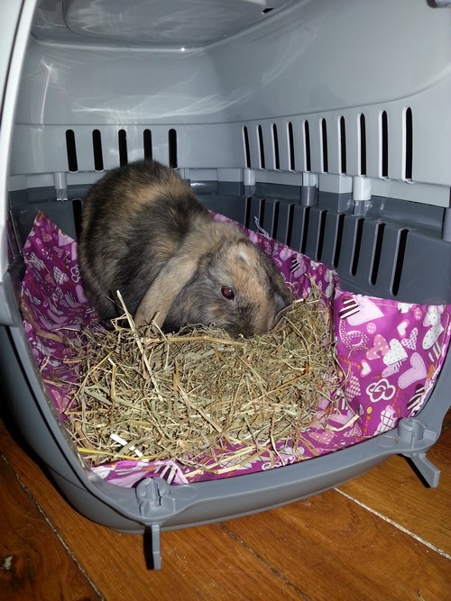 20130725_182933.jpg