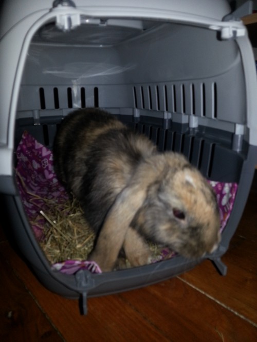 20130725_182928.jpg
