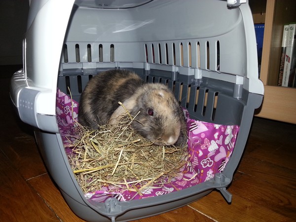 20130725_182909.jpg