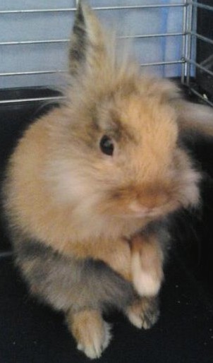 Mon bébé.jpg