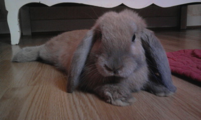 Photo0091.jpg