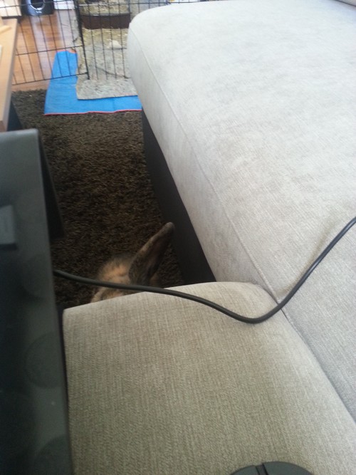 20130811_132709.jpg