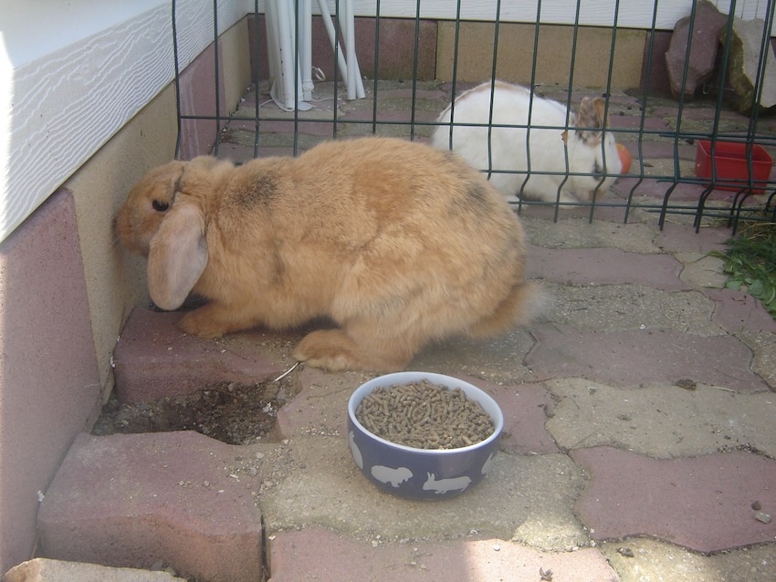 DSC04835.JPG