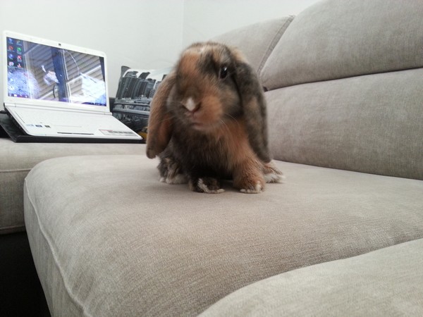 20130812_152934.jpg