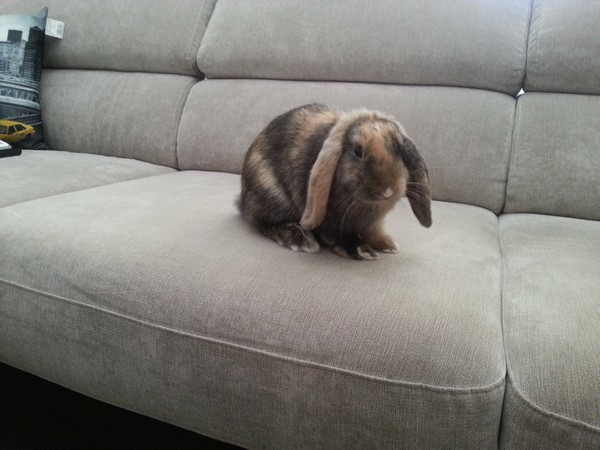 20130812_152927.jpg