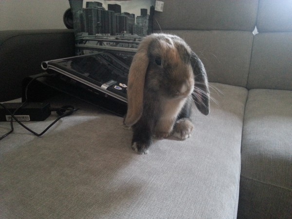 20130811_195714.jpg