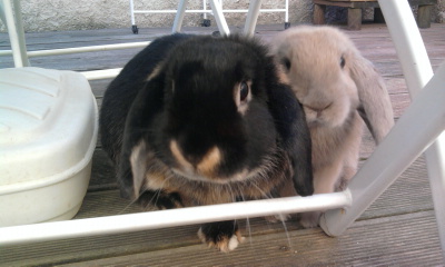 Photo0207.jpg