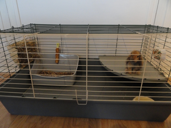 cage3.jpg