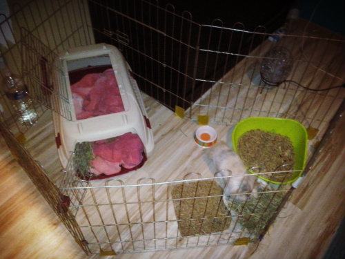 CAM00401.jpg