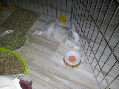 CAM00402.jpg