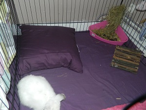 DSCN0720.JPG